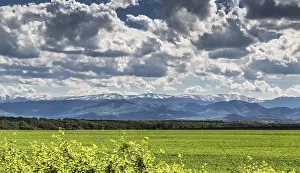Deserted European Countryside Drucke: View towards the Balkan Mountains
