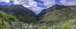 Erosion Landscape In Europe Drucke: View into the Barranco de Masca