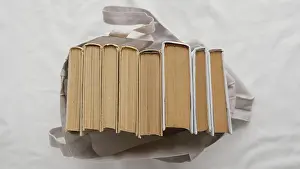 Deserted Library Scene Drucke: Top view books stack bag