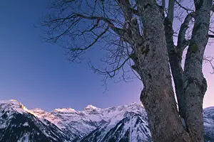 Snowy Mountain Range Drucke: View from Braunwald on the Glarus Alps