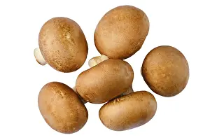 White Background Mushrooms Drucke: Top view of brown cap champignons on white background