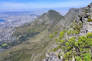 Cape Town View Drucke: View of Cape Town from top of Table Mountain