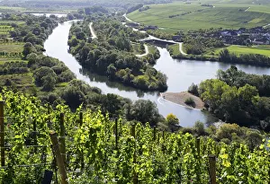 Lower Franconia Landscape Drucke: View from the castle over Alter Main