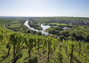 Wine Growing Region Europe Drucke: View from the castle over Alter Main