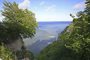 Chalk Cliffs Germany Drucke: View onto the chalk cliffs with beech forest