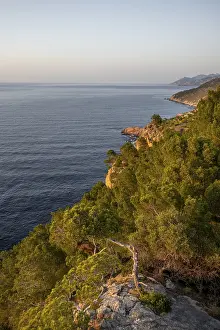 Spanish Coastline Drucke: View over the cliffs and the sea, Majorca, Spain