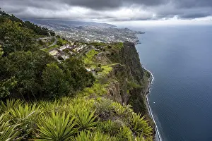 Madeira Coastal Landscape Drucke: View of the cliffs from the viewing platform