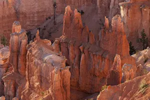 Sandstone Landscape USA Drucke: View of coloured rock formations