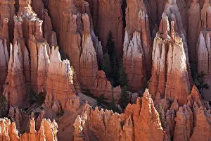 Utah USA Landscape Drucke: View of coloured rock formations