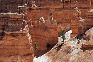 Utah Sandstone Landscapes Drucke: View of coloured rock formations
