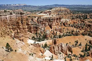 Utah Sandstone Landscape Drucke: View of coloured rock formations from Sunset Point