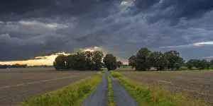 Northern German Countryside Drucke: View along a country lane across fields to a dramatic sky in the evening light