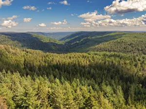 Black Forest Landscape Photography Drucke: A view down into a deep valley