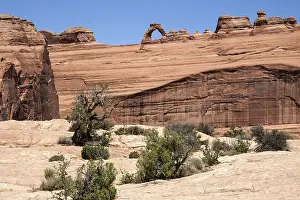 Arches National Park Utah Drucke: View of Delicate Arch from upper Delicate Arch Viewpoint