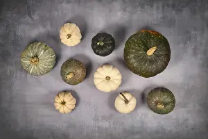 High Angle View Of Pumpkins Drucke: Top view of different green and white pumpkins