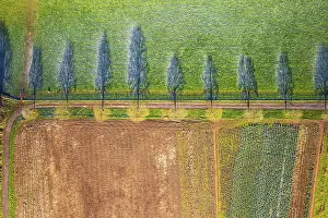 Top Down View From Drone Drucke: Top Down view from a drone over Fields