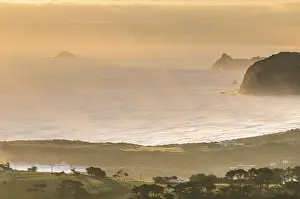 South Island Coastal Landscape Drucke: View of Dunedin Beach at sunset