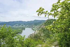 Uninhabited Castle Structure Drucke: View from Durnstein castle in spring