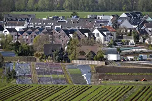 German Agricultural Landscape Drucke: View over Dusseldorf-Hamm