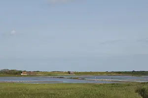 Protected Area In Europe Drucke: View across the East scrape from North hide