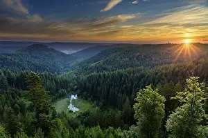 Morning Light In The Black Forest Drucke: View from the Ellbachseeblick viewing platform
