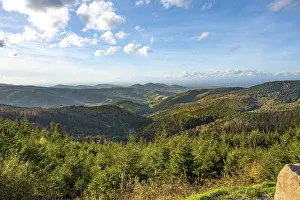 Central Europe Forests Drucke: View of the endless forest, Bad Wildbad