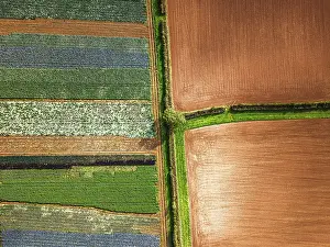 Devon Drone Images Drucke: Top down view over fields from a drone