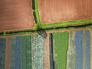 View From Above Devon England Drucke: Top down view over fields from a drone