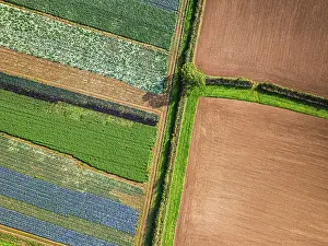 British Countryside Landscape Drucke: Top down view over fields from a drone