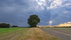 Gerahmter Druck : Blick über Felder in den Himmel. Gerahmter Druck : Blick über Felder in den Himmel.