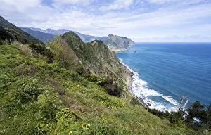 Coastal Landscape Drucke: View of forest-clad cliffs and mountains