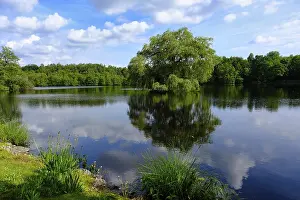 Bilder Datiert 30. Mai 2024: Blick über einen Waldsee, Reflexion.