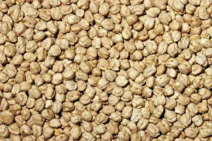 Healthy Eating Ingredients Drucke: Top view of a full frame of fresh raw chickpeas offering a natural texture and pattern