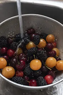Fresh Blackberries Drucke: Top view of fresh blackberries