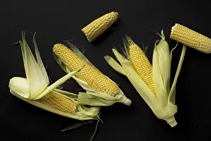 High Quality Photo Drucke: Top view fresh corn composition