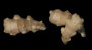 Studio Shot Of Ginger Drucke: Top view of ginger isolated on black