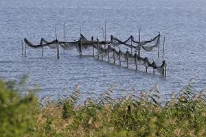 Usedom Island Drucke: View from the Gnitz peninsula, September