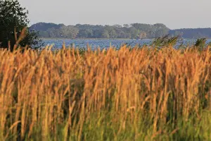 Deserted Beaches In Germany Drucke: View from the Gnitz peninsula, September