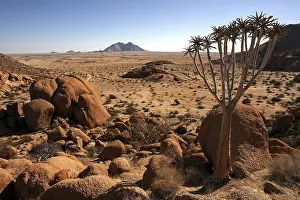 African Mountain Range Drucke: View from the Great Spitzkoppe