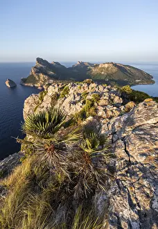 Pollenca Headland View Drucke: View of headland with cliffs and sea