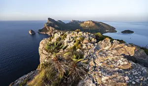 Pollenca Headland View Drucke: View of headland with cliffs and sea