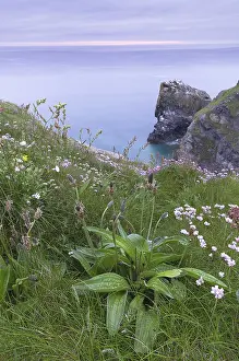 Travel Photography Cornwall Drucke: View of Hell's Mouth, Cornwall