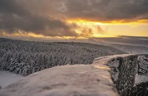 Evening Sun In The Black Forest Drucke: View of the icy Black Forest at sunset