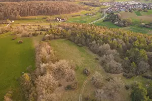 Deserted Village Europe Drucke: View of an idyllic landscape with forest