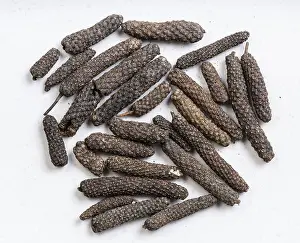 Gray Ceramic Plate Drucke: Top view of java long pepper close up on gray ceramic plate