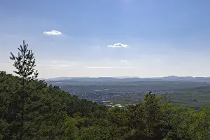 Lower Austria Landscape Drucke: View into the Kamptal, trees in the foreground