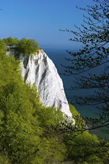 Baltic Sea Coastline Germany Drucke: View of the Konigsstuhl in the chalk cliffs