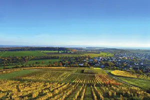 Vineyard In Central Europe Drucke: View over Kraichgau