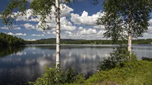 Cloudy Blue Sky Photo Drucke: View over a lake through birch trunks