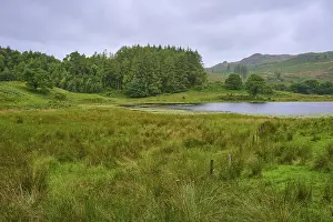 Green Meadow Landscape Drucke: View of a lake surrounded by trees and green fields under a cloudy sky